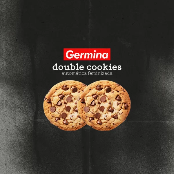 Double Cookies - Automática - 3und.